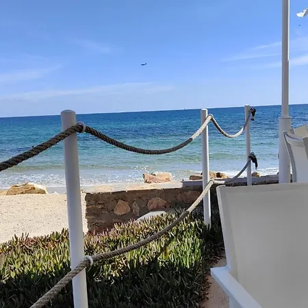 Nispero Philippe Dehesa de Campoamor (Orihuela Costa)